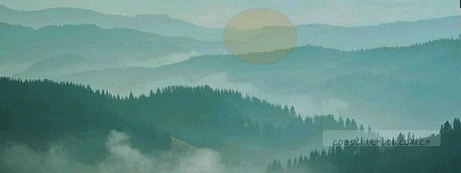 航海图坐标网格与等深线纹理，线条纤细规整